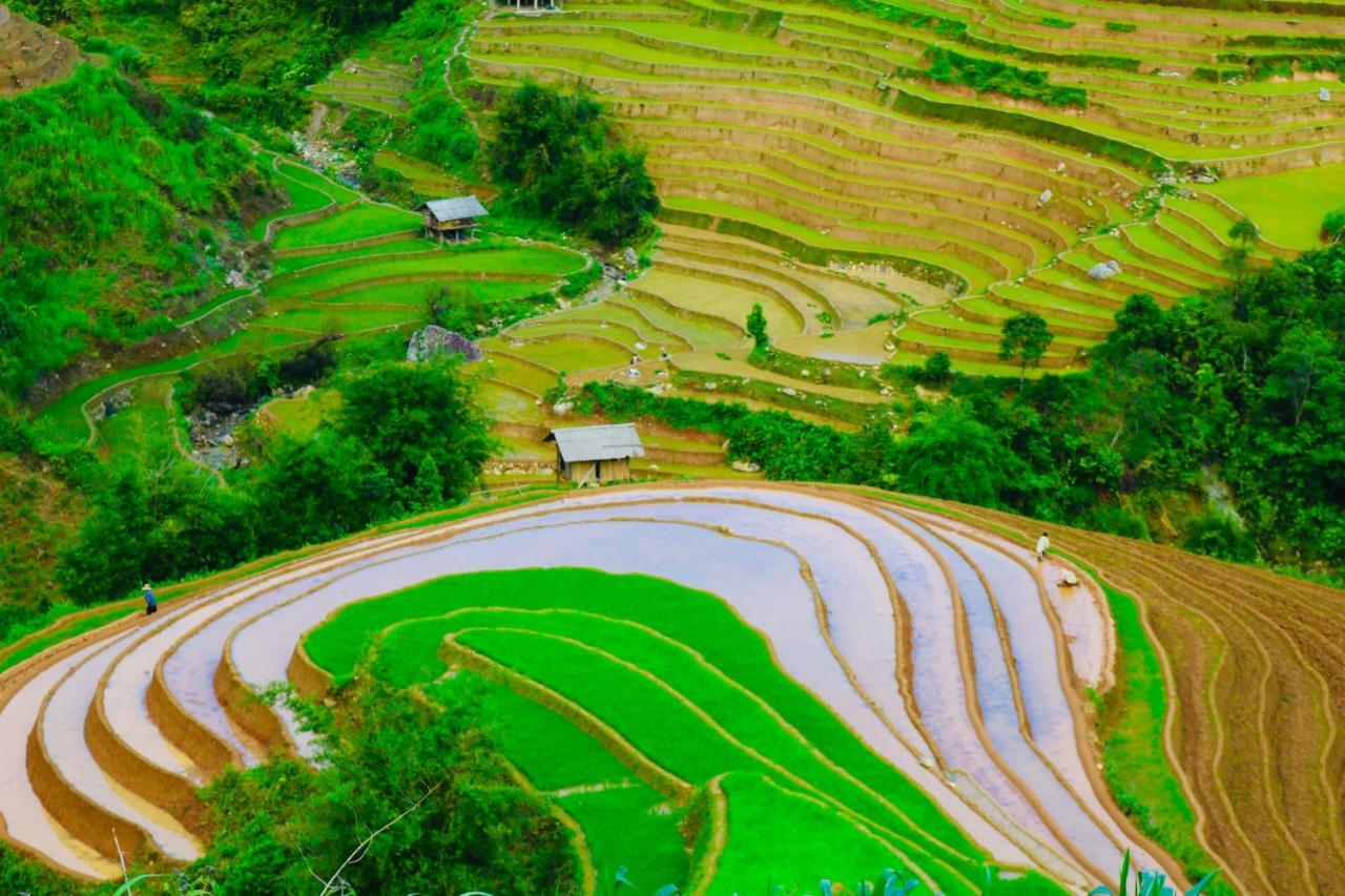 Do Gu Homestay Mu Cang Chai Exterior foto
